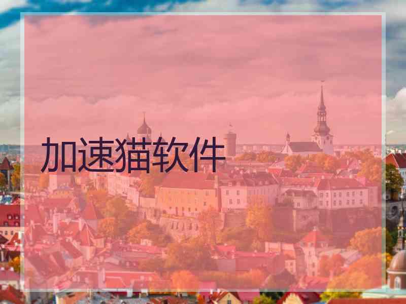 加速猫软件