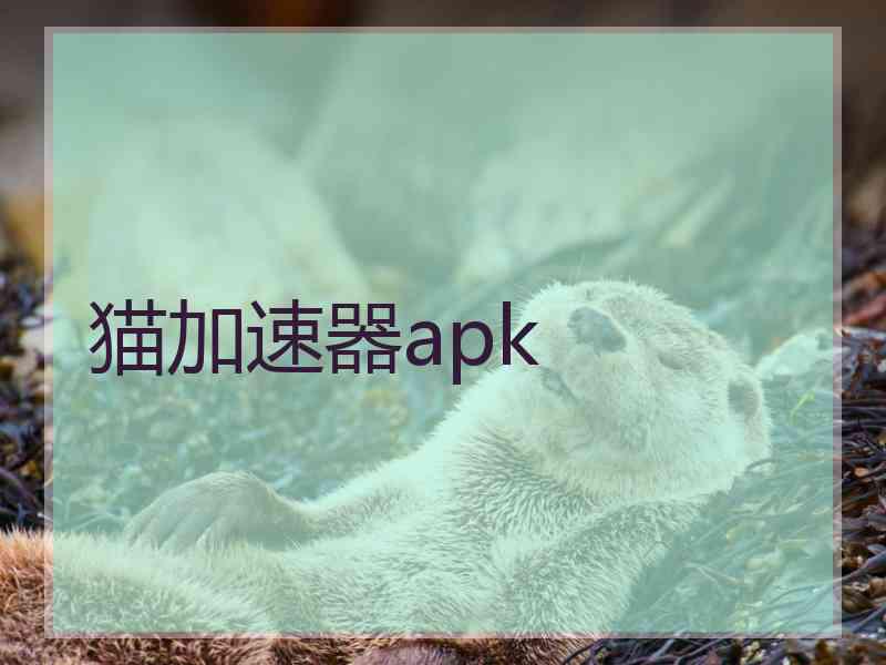 猫加速器apk