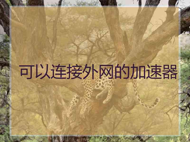 可以连接外网的加速器