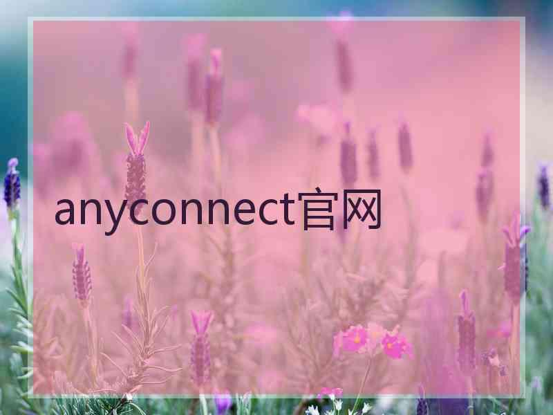 anyconnect官网