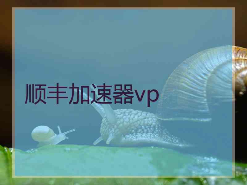 顺丰加速器vp