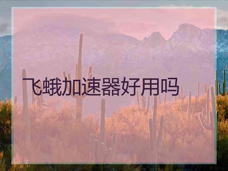 飞蛾加速器好用吗