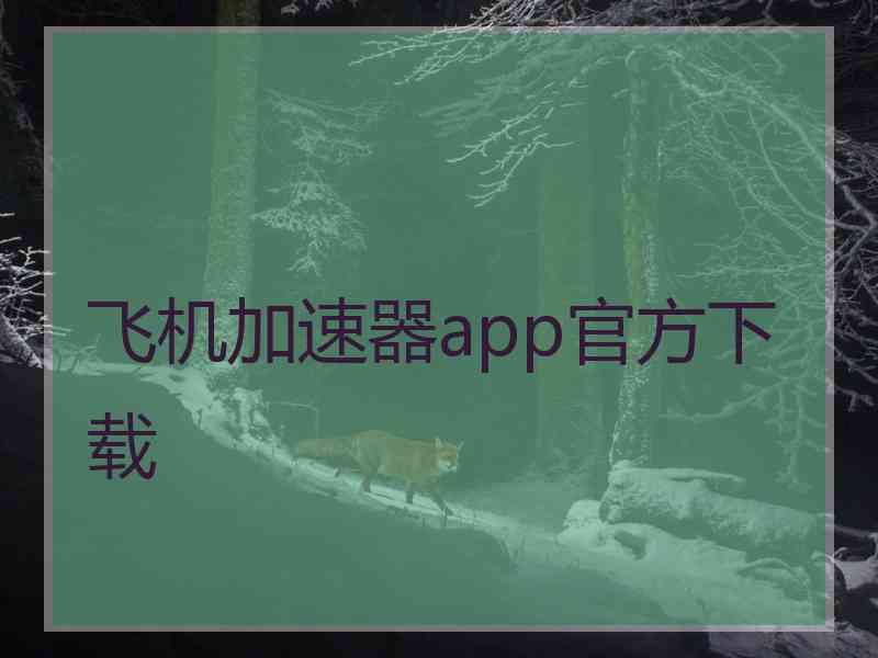 飞机加速器app官方下载