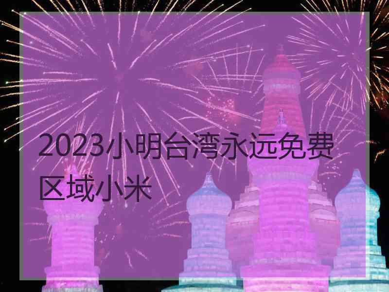 2023小明台湾永远免费区域小米