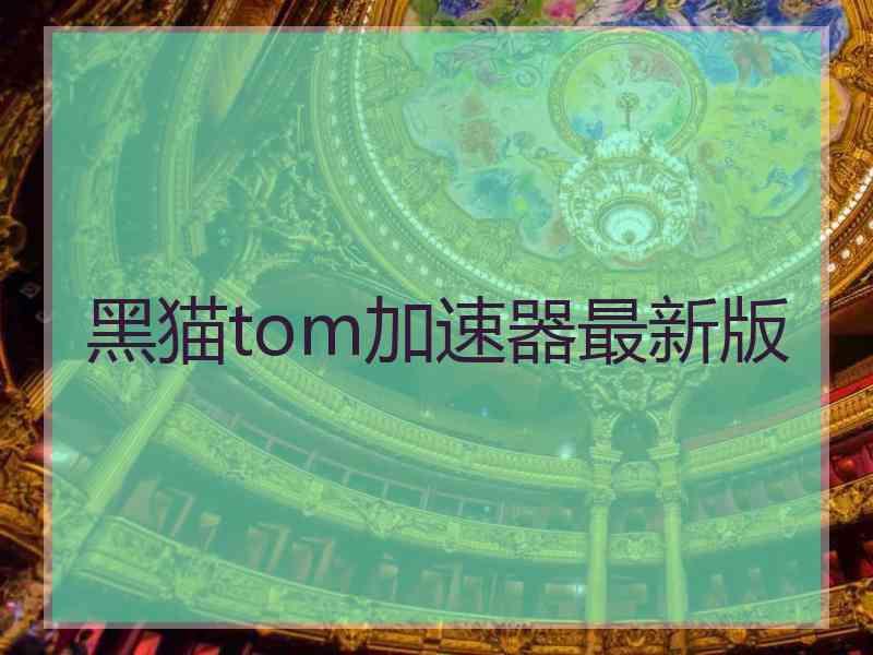 黑猫tom加速器最新版