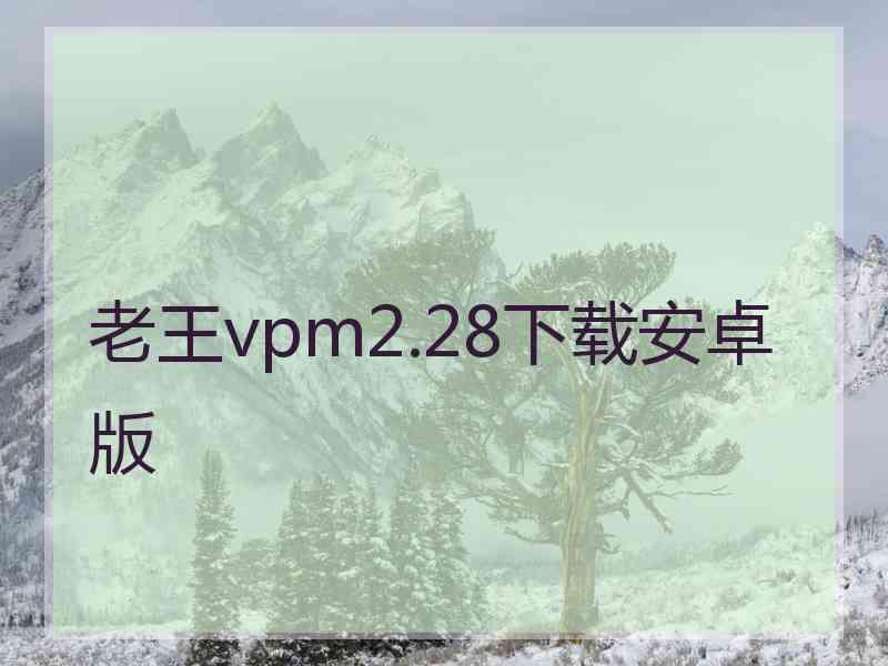 老王vpm2.28下载安卓版