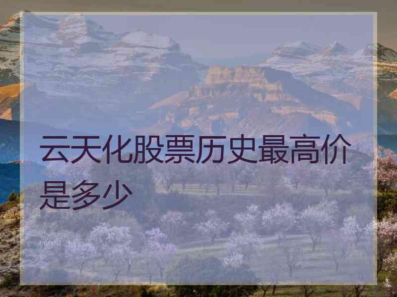 云天化股票历史最高价是多少