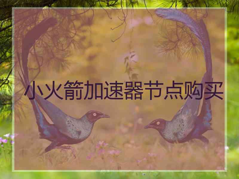 小火箭加速器节点购买