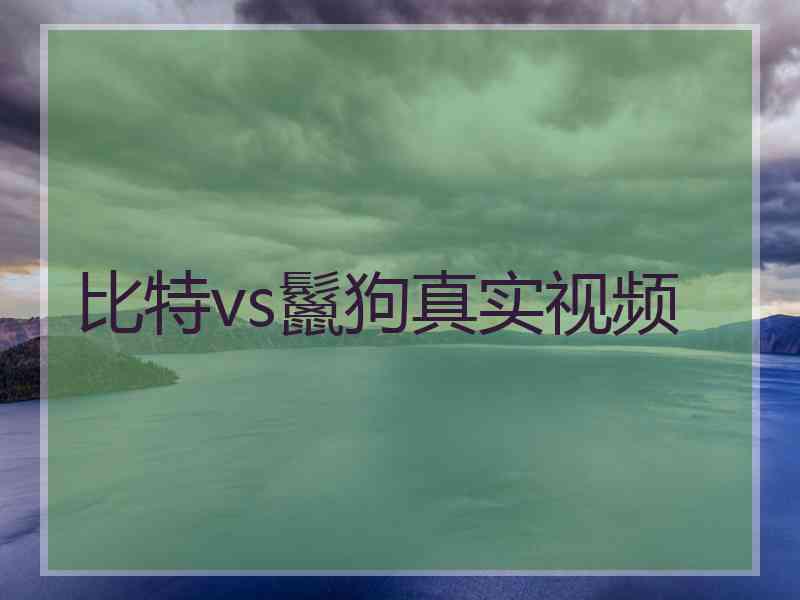比特vs鬣狗真实视频