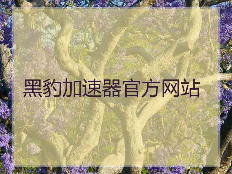 黑豹加速器官方网站