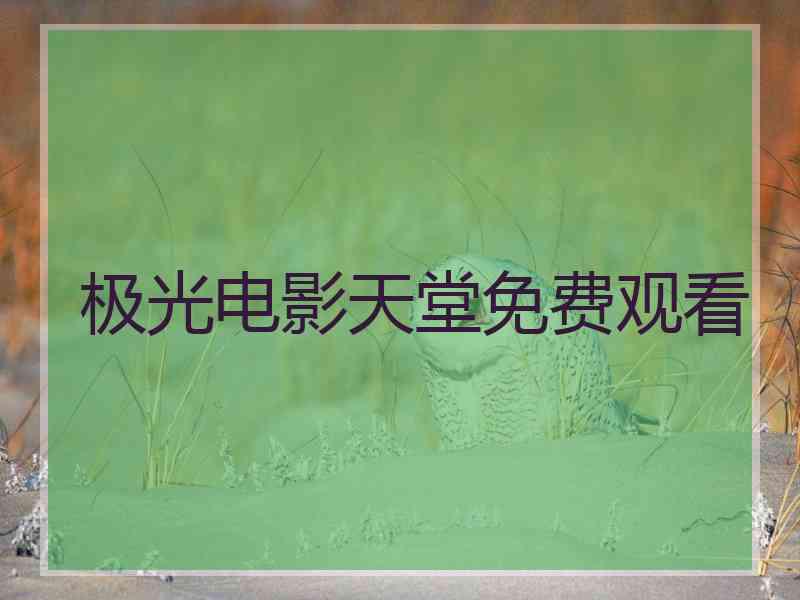 极光电影天堂免费观看