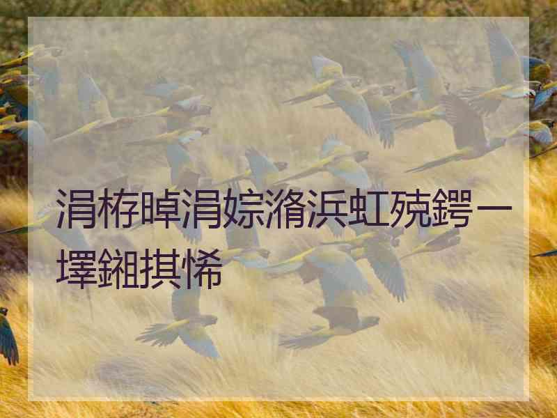 涓栫晫涓婃潃浜虹殑鍔ㄧ墿鎺掑悕