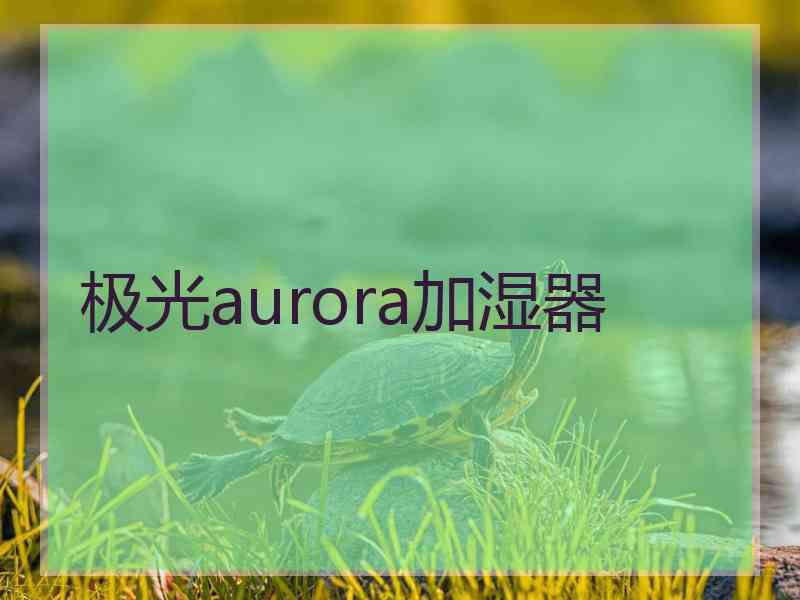 极光aurora加湿器