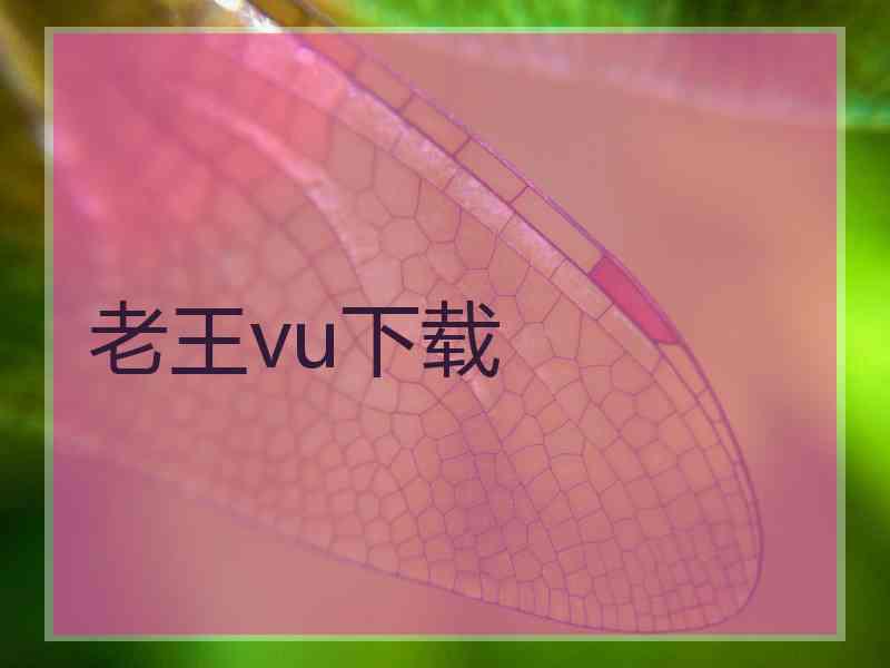 老王vu下载