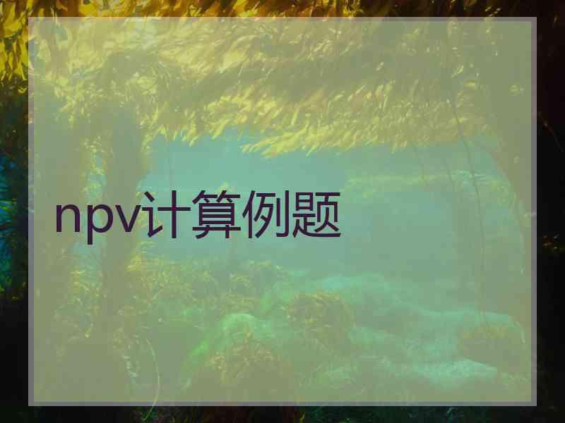 npv计算例题