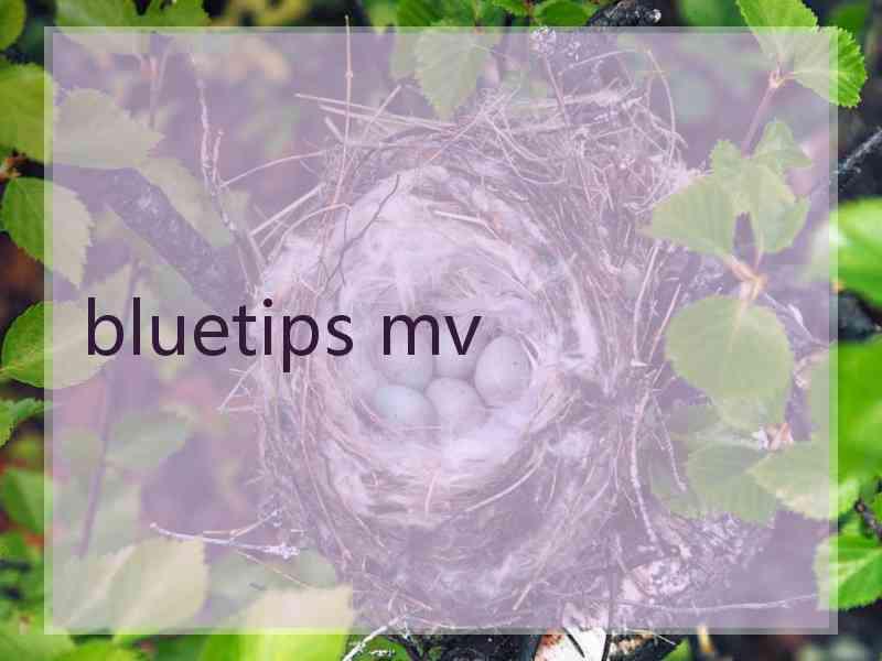bluetips mv