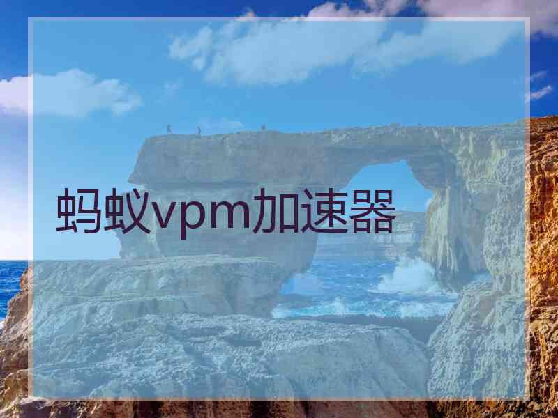 蚂蚁vpm加速器