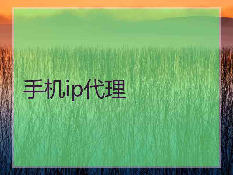 手机ip代理