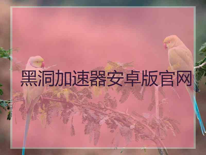 黑洞加速器安卓版官网