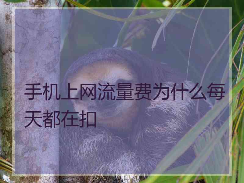 手机上网流量费为什么每天都在扣