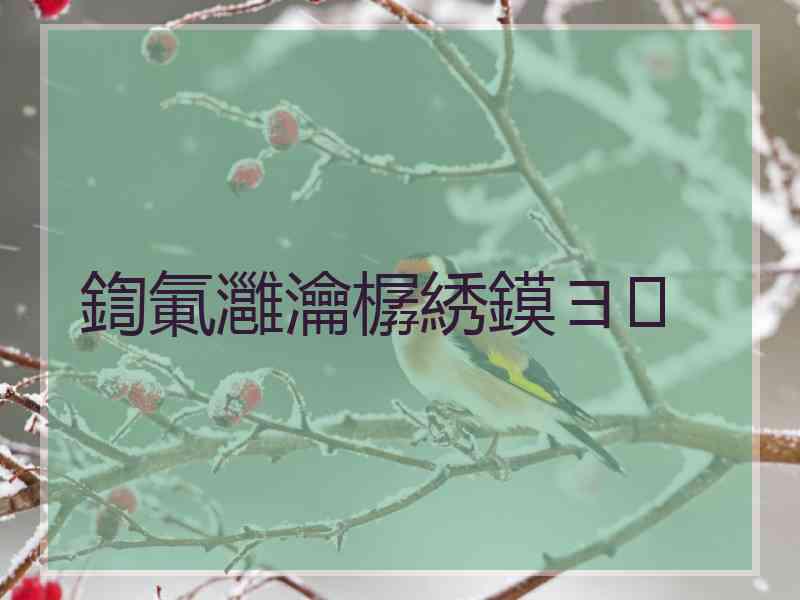 鍧氭灉瀹樼綉鏌ヨ