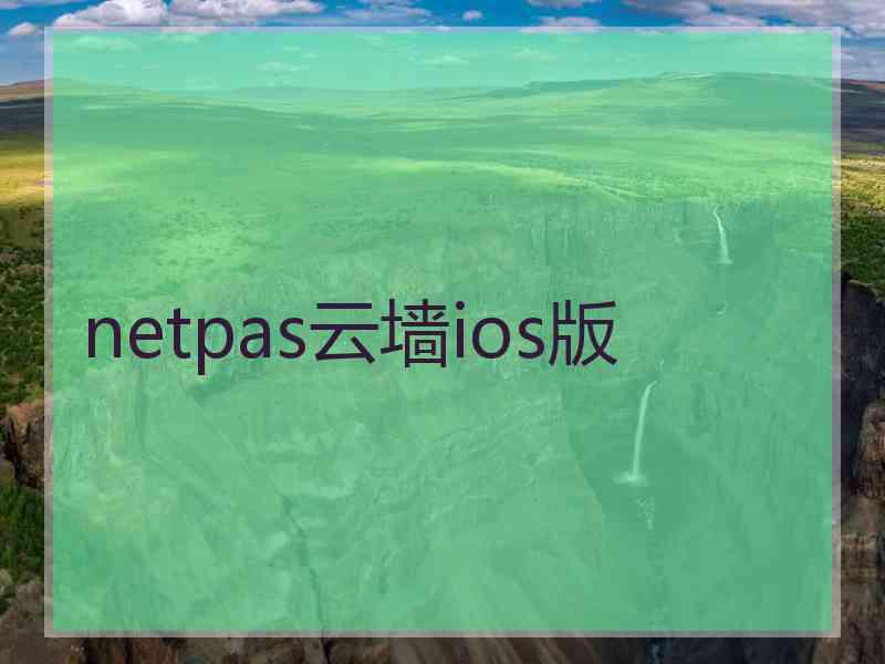 netpas云墙ios版