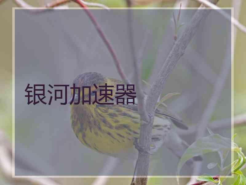 银河加速器