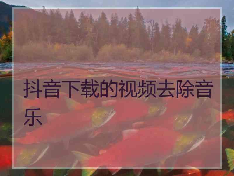 抖音下载的视频去除音乐