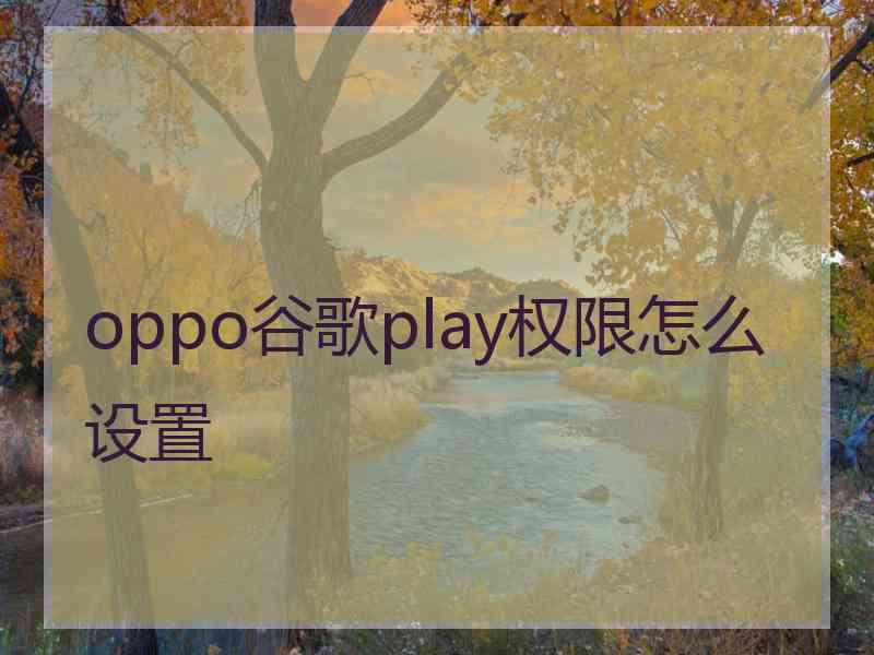 oppo谷歌play权限怎么设置