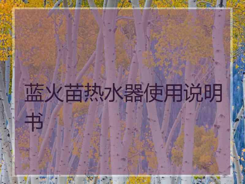 蓝火苗热水器使用说明书