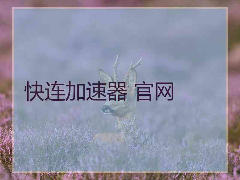快连加速器 官网