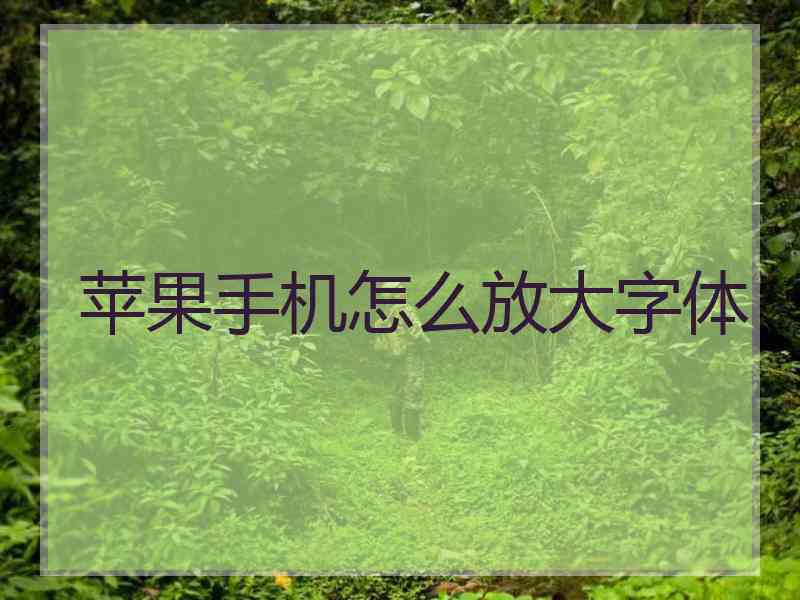 苹果手机怎么放大字体