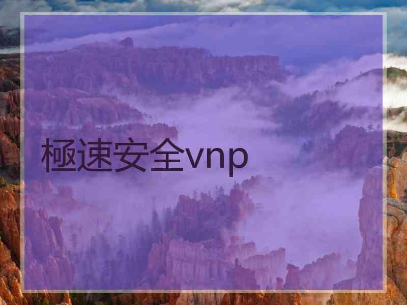 極速安全vnp
