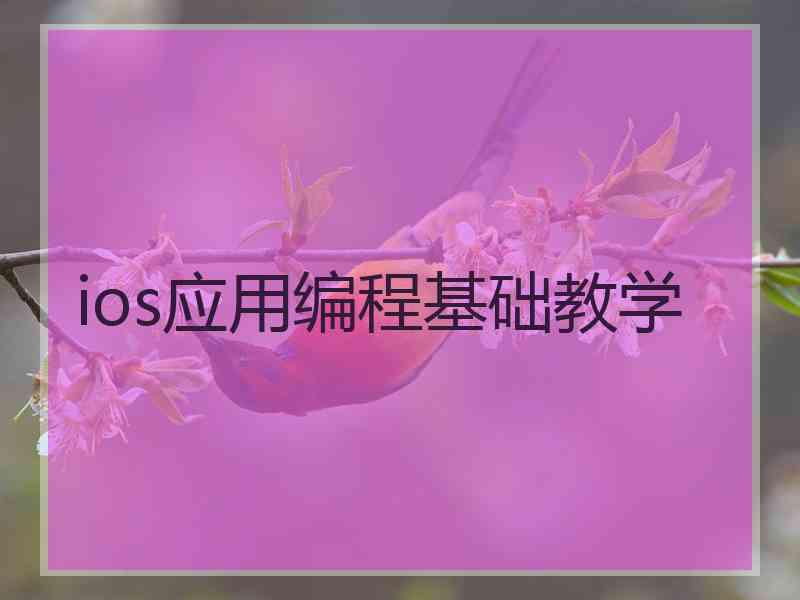 ios应用编程基础教学