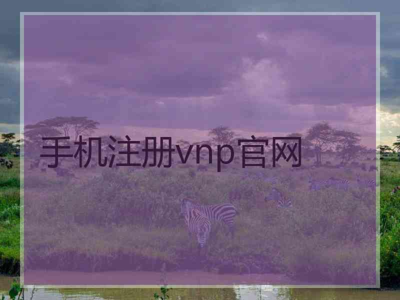 手机注册vnp官网