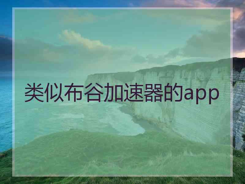 类似布谷加速器的app