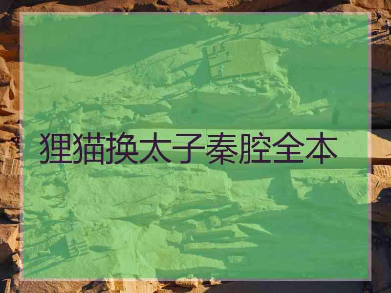 狸猫换太子秦腔全本