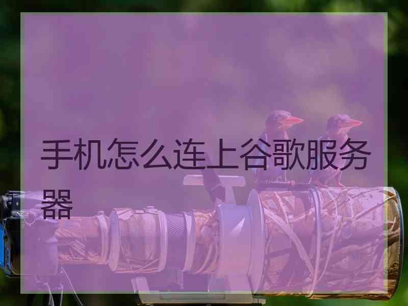 手机怎么连上谷歌服务器