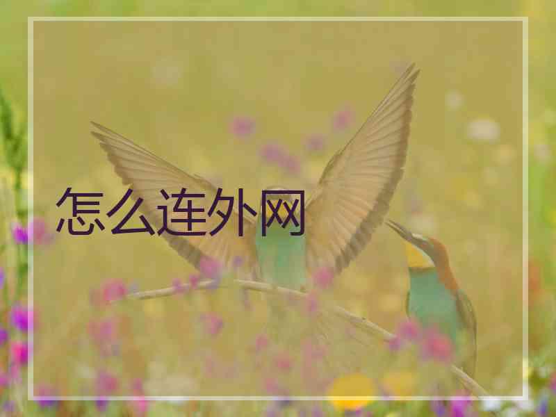 怎么连外网