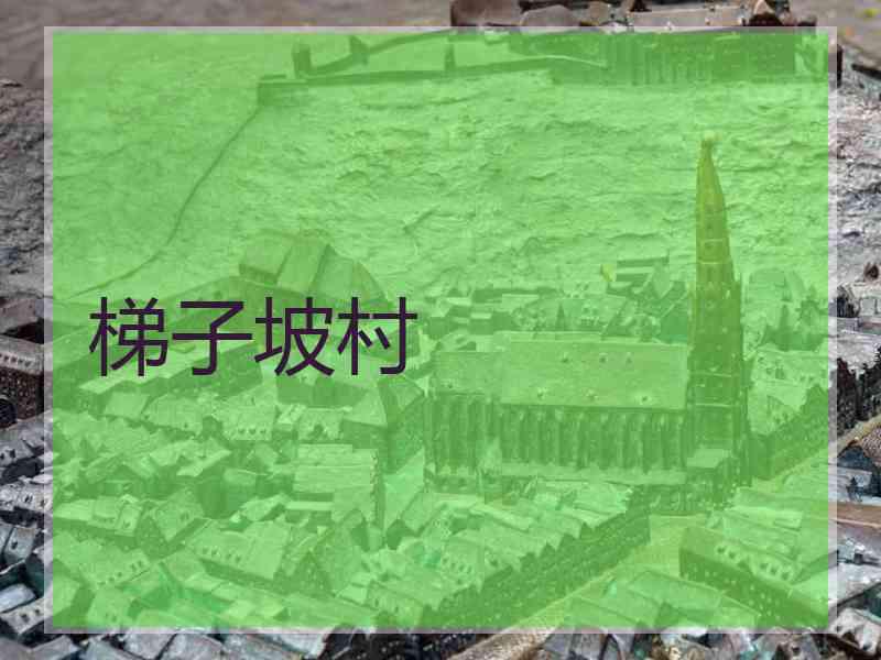 梯子坡村