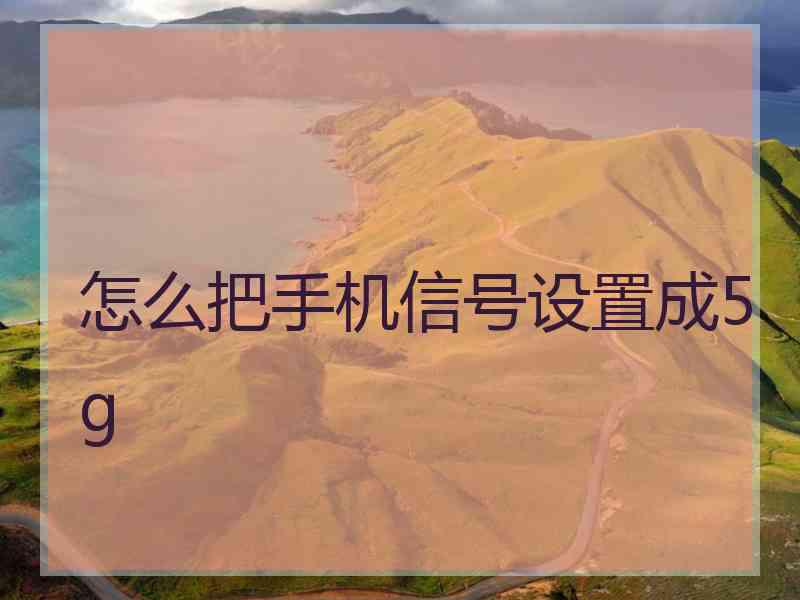 怎么把手机信号设置成5g
