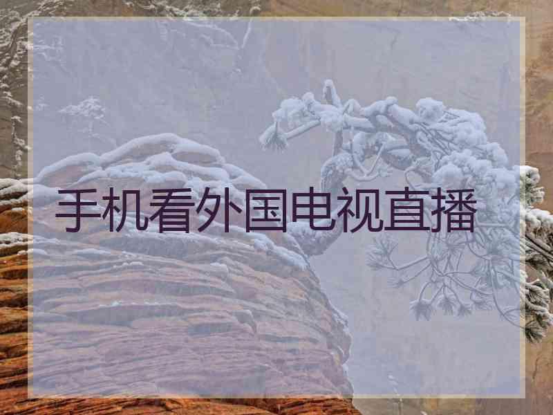 手机看外国电视直播