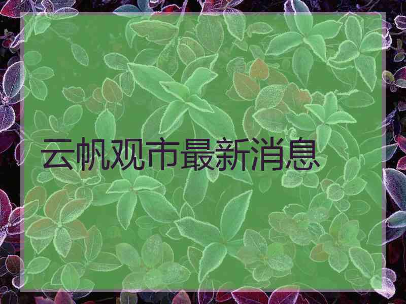云帆观市最新消息