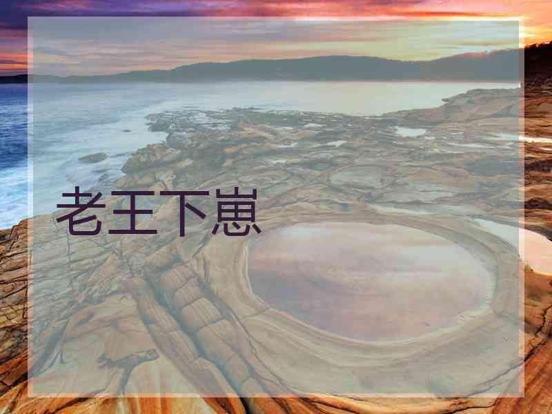 老王下崽