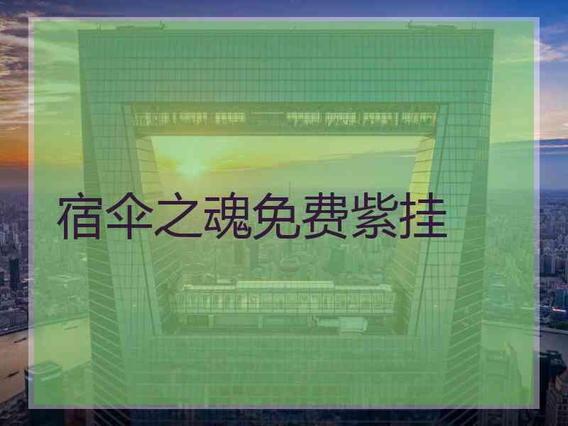 宿伞之魂免费紫挂