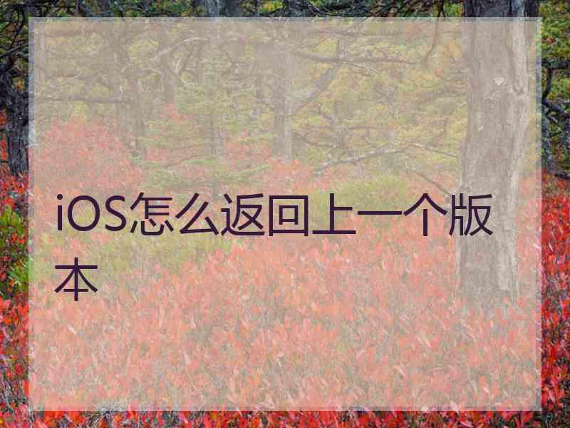 iOS怎么返回上一个版本