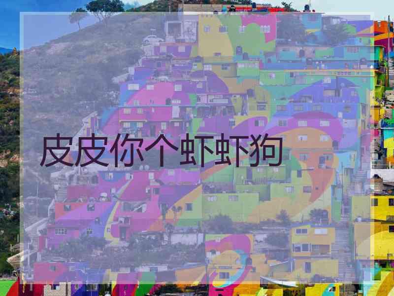 皮皮你个虾虾狗