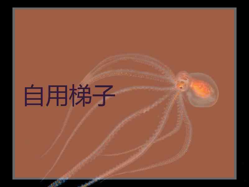 自用梯子