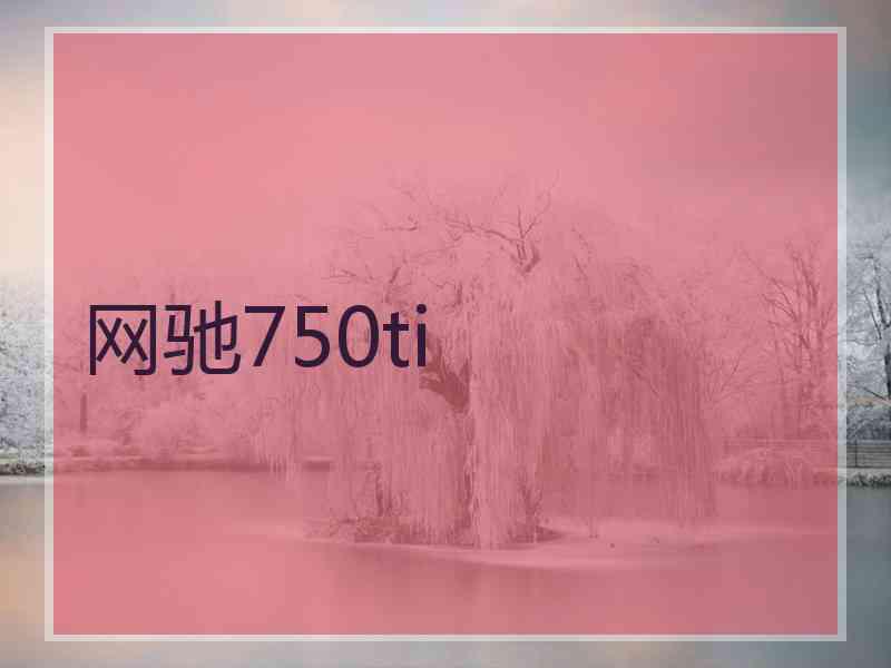 网驰750ti