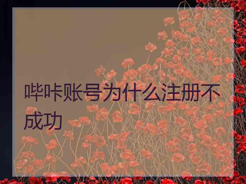 哔咔账号为什么注册不成功